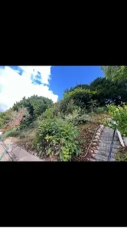 Vlog jardinier 