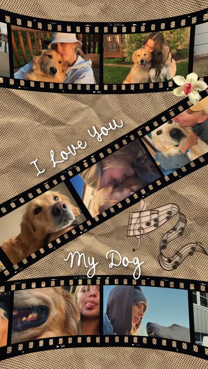 Amo a mi perro