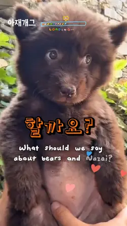 아재개그 스코네집