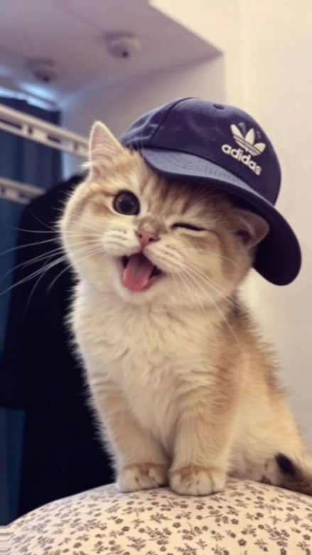 jj 2 foto