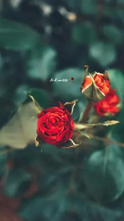 Naam-e-Muhammad❤️🥺