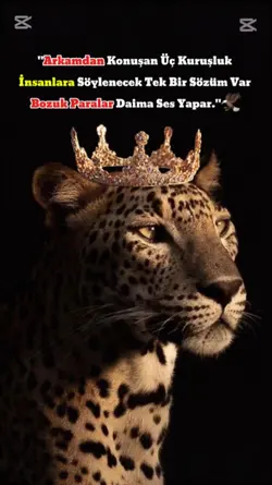 kolay capcut şablonu