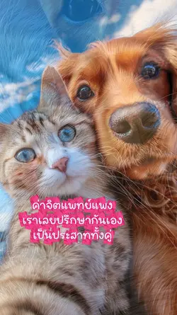 เราเลยปรึกษากันเอง