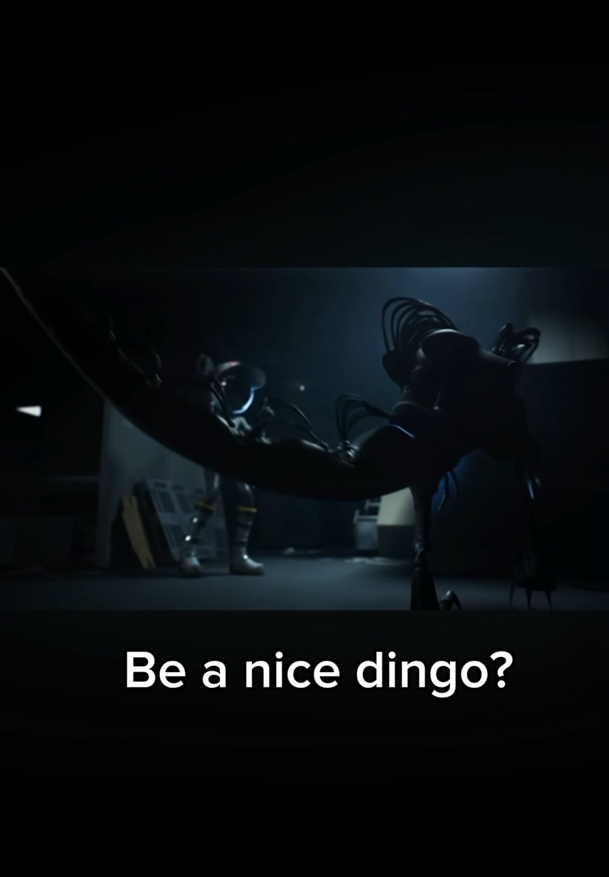 Be a nice dingo?