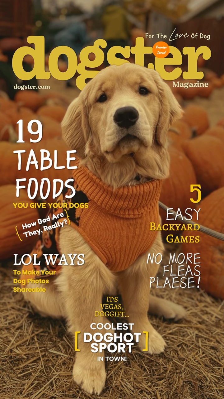 Revista Perro