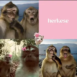 3 lü fotoğraf