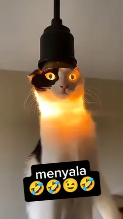 oyen menyala