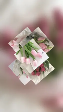 5 photo 5 product