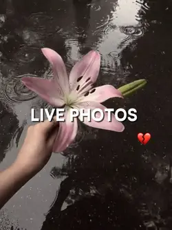 LIVE PHOTOS