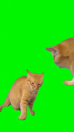 GREENSCREEN MEME 