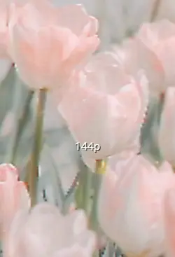144p vs 4k