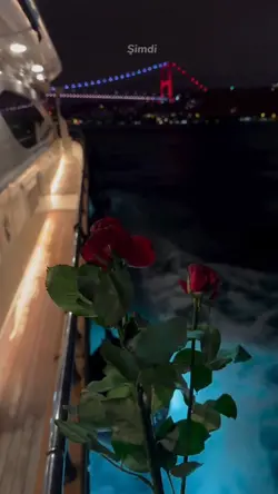 Taşacak Bu Deniz