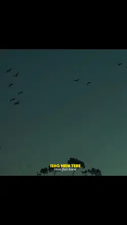 Arz kiya ha ( vocals