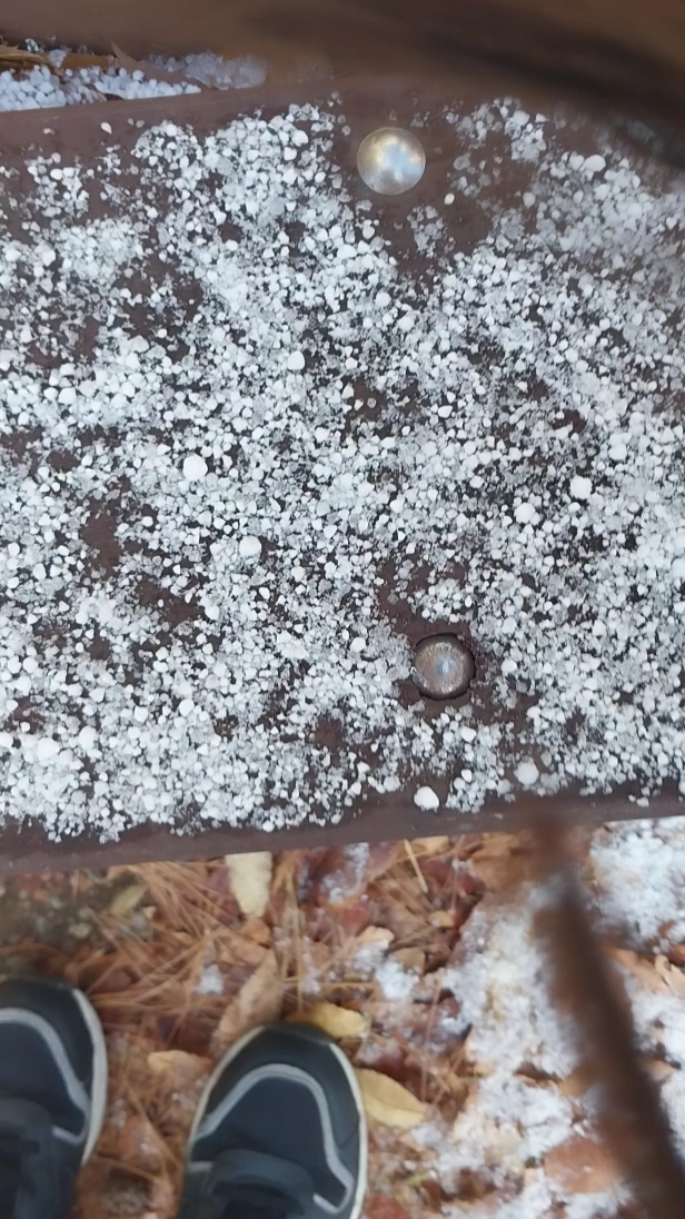 첫눈 본 사람 ,,?