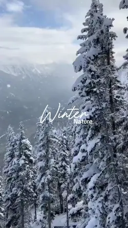 winter nature