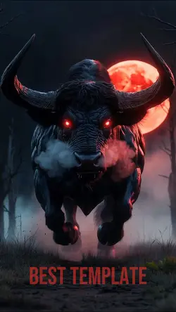 Bull Intro Top