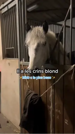 Cheveux blond
