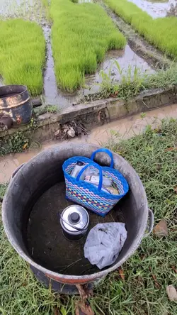 lintang ing slowmo