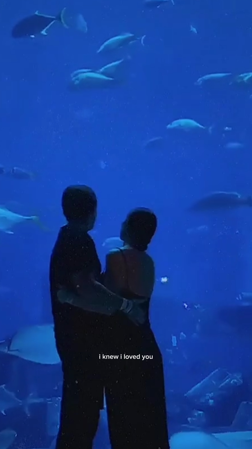 aquarium date