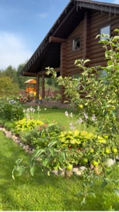 Mi jardín