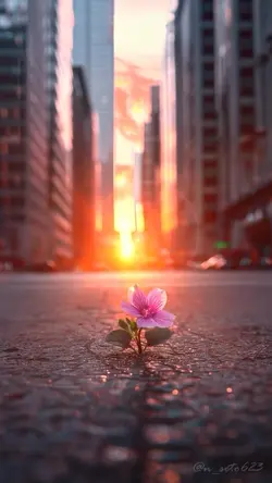 Şablon çoook güzel 