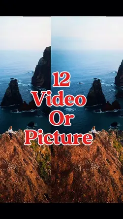 12 video or picture 