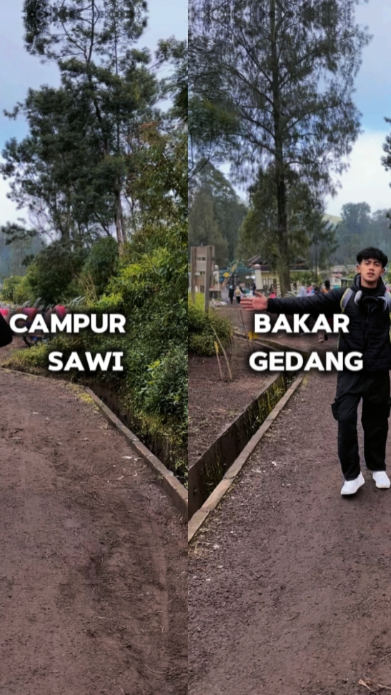 GESER² GULU PEDOT 