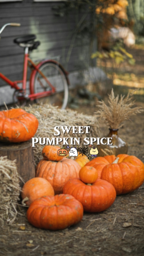 Sweet pumpkin spice