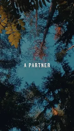 You need a partner