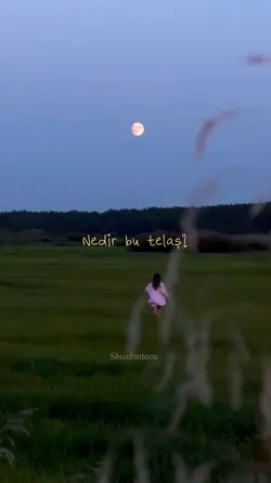 Nedir bu telaş?