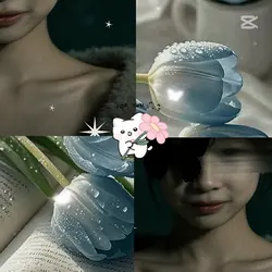 最好的安排
