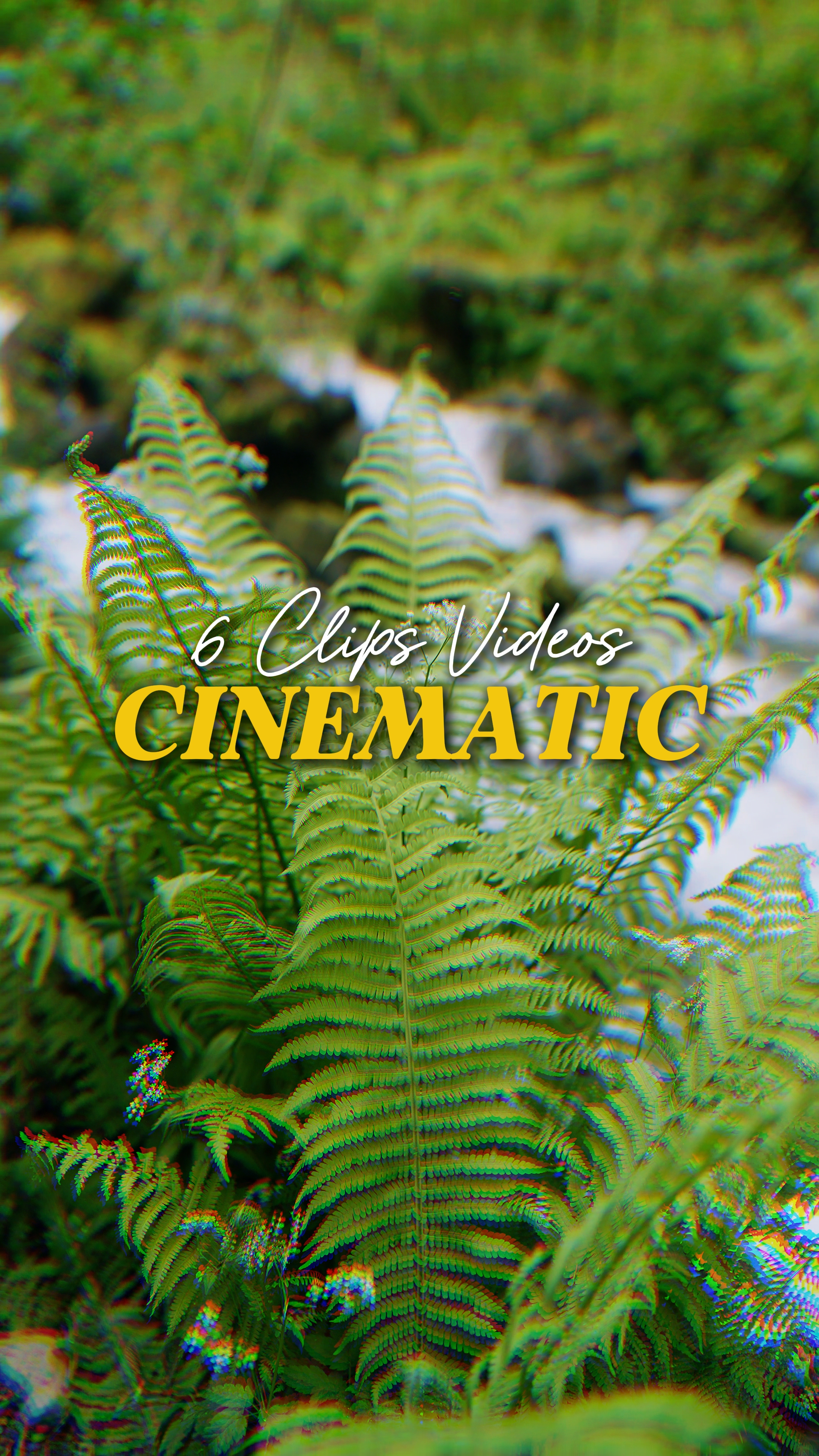 6 Videos Cinemáticos