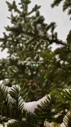 Winter vibes