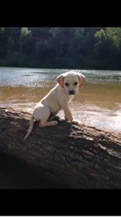 Le temps passe vite💖