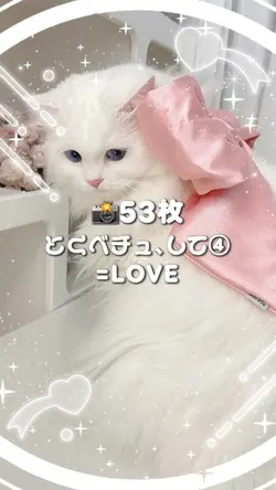 🎵とくべチュ、して④