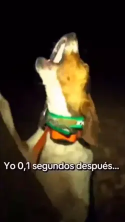 Yo nunca