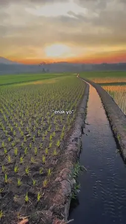 storywa |