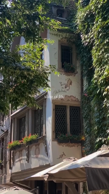 Fatia da vida