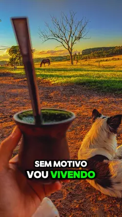 Sertanejo 💸