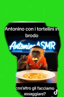Tortellini in brodo