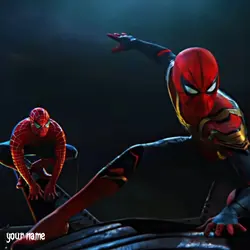 SPIDER MAN 