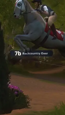 sliw motion lauf 2.1