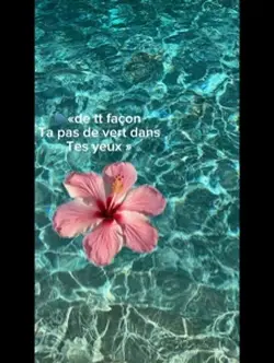 Yeux Hazel