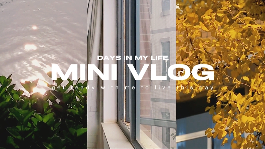 mini vlog