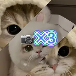 📷×3 正解