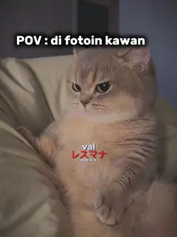 POV di fotoin kawan