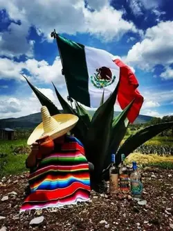 vivamexico