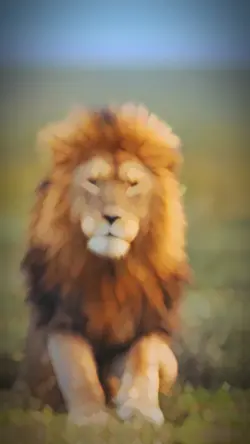 Lion King