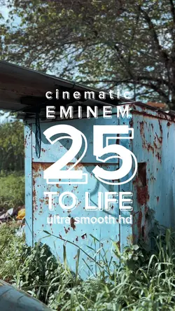 25 to life Cinematic