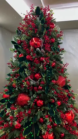 árvore de natal 